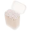EPIGEIST 100 pcs Double Ended Cotton Swabs for Portable Sticks for Care Lightweight Storage Box for Daily Use and Travel view 1