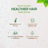 Chitaaksh Amino Acid Hair Oil  Deep Nourishment & Strengthening for Silky, Healthy Hair  250mL  Herbal, Non-Sticky Oil for Men & Women (Pack of 2) view 3