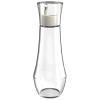 Transparent Glass Mouthwash Dispenser with Lid, 8.8 Oz Refillable Decanter view 1