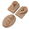 NOENNULL 3D Nose and Ear Model - Silicone Piercing and Suture Practice Kit with Realistic Anatomy for Medical Training, Practice and Demonstration (Deep Skin Tone) view 4