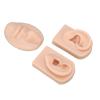 NOENNULL 3D Nose & Ear Model - Silicone Piercing & Suture Practice Kit with Realistic Anatomy for Medical Training, Practice & First Aid Demonstration (Medium Skin Color) view 3