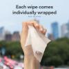 Biopure Eyelid Cleansing Wipes for Dry Eyes  15 Individually Wrapped Pre-Moistened Wipes  Prevent Styes & Refresh Eyes  Preservative-Free Eye Care Wipe for Daily Hygiene -15 Count view 4