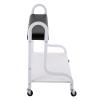 KJZQLMZ Foot Stand Cart, Portable Salon Cart, Foot Spa Cart with Wheels, Rolling Storage Station for Beauty Salon, Hairdresser, Bathroom view 1