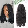 RHEANNA Feather Crochet Human Hair With Tight Curly Ends Invisible Knots Deep Curly Crochet Human Hair Extensions Knotless Pre-Separated 18inch 60g view 1