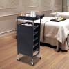 Salon Trolley Cart,5-Drawer Mobile Beauty Station with 66lb Capacity Expandable Top for Barber Spa Clinic view 3