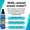 Brined Sea Salt Spray for Hair Men & Women | Real Ocean Water Texturizing Spray | Beach Hair, Waves, Volume & Matte Finish | Aloe, Kelp & Vitamin B5 | Sulfate-Free, Paraben-Free | 4oz view 3