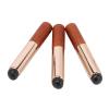 3Pcs Silicone Lip Brush Applicator Set, Soft Round Head, Portable Cosmetic Makeup Tool, Easy to Clean, Hygienic, for Smudging Lips, Creating Fog Lip Makeup view 3