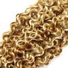 Highlight Curly Bundles 613 Curly Bundle Human Hair Blonde Human Hair Bundle 20 22 24 inch Double Weft 3 Bundles P30/613 Color view 4