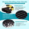 100g 3 Bundles/Pack Human Braiding Hair for Boho Braids 24 Inch Curly Boho Hair for Braiding Knotless 12A Deep Wave Bulk Bohemian Natural Black view 4