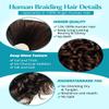100g 3 Bundles/Pack Chocolate Brown Human Braiding Hair for Boho Braids 16 Inch Curly Boho Hair for Braiding Knotless 12A Deep Wave Bulk Bohemian Color 4 view 4