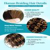 100g 3 Bundles/Pack Ombre Highlight Human Braiding Hair for Boho Braids 14 Inch Curly Boho Hair for Braiding Knotless 12A Deep Wave Bulk Bohemian Color P4/27 view 4