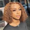 Curly BOB Wig Human Hair 220 Density 13x4 HD Lace Front Deep Wave Wigs for Black Women 4/27# Glueless Colored Pre Plucked Deep Wave Wet and Wavy Glueless Wigs Human Hair Highlight 10 Inch view 1