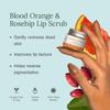Blood Orange & Rosehip Lip Scrub,10 G | Gentle Exfoliating Scrub For Dark Lips & Pigmentation | Organic Lip Exfoliator For Soft, Smooth, Supple And Luscious Lips|Suitable For Unisex view 2