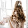 14 PCS Bridal Hair Accessories, Wedding Hair Accessories Pins Crystal Pearl Suitable for Bride and Bridesmaids Hairstyles for Parties and Formal Events (Silver) view 4