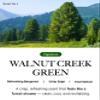 BiBiANG Walnut Creek Green Hand Cream - Korean Hand Care for Moisturizing & Nourishment - Hydrating Hand Care Formula with Forest Bergamot Scent, Shea Butter & Niacinamide - 1.69oz view 3