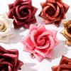 3D Rose Blushes Powder Blushes for Cheeks Highlight Face for a Shimmery Blushing Rose (01) view 3