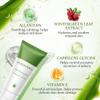 Aloderma Aloe Oil Controlling Set, 2 pcs - Aloe Clearing Gel, Hydrating Toner view 3