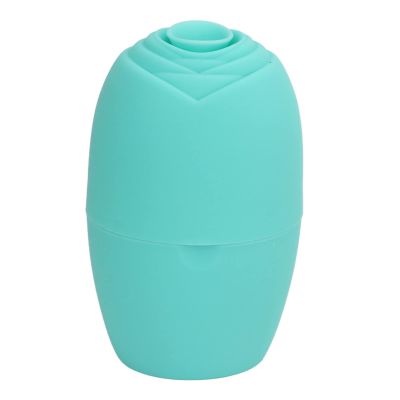 Aoaoy Ice Face Roller Silicone Facial Beauty Ice Face Massager Cube for Neck and Eye (Green)