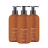 ATTITUDE Limited Edition Liquid Hand Soap, EWG Verified, Plant and Mineral-Based, Vegan Personal Care Products, Orange Cinnamon, 16 Fl Oz (Pack of 3) view 1