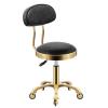 JAVPTAV Stool with Back Rest Heavy Duty Hydraulic Metal Swivel Stool for Salon, Massage, Office Adjustable Comfortable Seat with Wheels(F) view 1