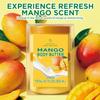 Embleaf Mango Body Butter, Shea Body Butter for Women Dry Skin, Natural Mango Lotion for Body Care Smell Good-3.4 floz+6.8 floz(100ml+200ml) view 4