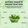 98% Aloe Vera Moisturizer Face Cream,Face Moisturizer with Pure Aloe Vera, Soothing,Moisturizing and Delicate Skin Anti Wrinkle Face Cream for Dry Skin,Acne Scars Moisturizing Cream for Men and Women view 3