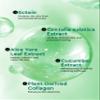 Bewants Cica Collagen Hydrogel Jelly Mask with Centella Asiatica, Aloe Vera, Cucumber Extract  Moisturizing Face Sheet for Soothing, Firming, and Radiance (1 Pack) view 3