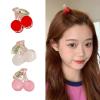 Charm Cherries Hair Claws10PCS Lovely Hair Styling Accessories For Girls Women For Daily Wear And Gifting Decors Styling Clip view 2