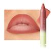 BINGBRUSH 2in1 Matte Lip Liner and Lipstick Combo, Lipsticks for Women, Longwear Waterproof Lip Liner Pencil, Matte lipstick Smudge Proof Lip Combo sets, Women's Long Lasting Lip Makeup (2#Peach Heat) view 1