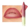 BINGBRUSH 2in1 Matte Lip Liner and Lipstick Combo, Lipsticks for Women, Longwear Waterproof Lip Liner Pencil, Matte lipstick Smudge Proof lipstain, Women's Long Lasting Lip Makeup (03#Coral Rush) view 1