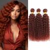 QEUOPE Color 33 Human Hair Reddish Brown Kinkycurly Bundles Double Weft Brazilian Auburn Hair Extensions Copper Red Deep Curly Wet and Wavy Bundles Soft and Silky for Women (24 26 28 inch) view 1