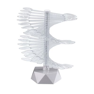 60 Colors Spiral Nail Art Display Stand, Fan-Shaped Rotating Color Chart for Practice, Showcase, Presentation (white)