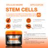 Liss Expert Stem Cells Professional Smoothing Treatment 16.9 oz (500 ml) SET, Organic Keratin, Nanoplasty for Frizz-Free Repair & Shine with Shampoo and Conditioner view 3
