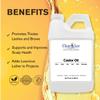 ClearLee Castor Oil - Cosmetic Grade Natural & Pure Oil for Massage, Body, Hair, Skin, Face, Nail, Spa, Aromatherapy Carrier for Essential Oils, Soap Making, Serums & more (64 oz) view 2