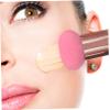 3PCS Applicator, 3 Styles Wet  Dry Large Makeup Sponge with Handle, Soft Elastic Blending Sponge for Makeup view 3