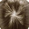 Hair Wonders Mens Toupee Human Hair Piece For Men Swiss Lace Hair System for Men Hairpiece Poly Coated Mens Hairpieces Protesis Capilar 6X9-80% light density 5# MEDIUM LIGHT BROWN view 4