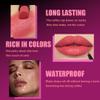 2Pcs 2 in 1 Matte Rose Lip Liner and Lipstick Combo Set for Women,Lipstick Stain Lip Liner for Daily & Party Long Lasting Waterproof Smudge Proof 24 Hour Full Coverage Vegan Lip Makeup Kit view 4