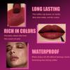 2Pcs 2 in 1 Matte Plum Lip Liner and Lipstick Combo Set for Women,Lipstick Stain Lip Liner for Daily & Party Long Lasting Waterproof Smudge Proof 24 Hour Full Coverage Vegan Lip Makeup Kit view 4
