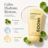 Soomi Skin Centella Sunscreen 50ml SPF 50 Centella Asiatica Korean Face Sunscreen for Sensitive Skin, No White Cast, Lightweight Hydrating Sun Protection, Skin Barrier Repair, Niacinamide view 2