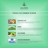 Neem Cucumber Scrub ||Paraben, Silicon Free 100 Gm view 4