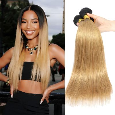 LUMWAV T1B/27 Straight Human Hair Bundles 02 22 24 Inch 3 Bundles Brazilian Virgin Remy Hair Extensions Ombre Natural Black to Honey Blonde for Black Women Soft Silky Weave