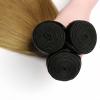 LUMWAV T1B/27 Straight Human Hair Bundles 02 22 24 Inch 3 Bundles Brazilian Virgin Remy Hair Extensions Ombre Natural Black to Honey Blonde for Black Women Soft Silky Weave view 4
