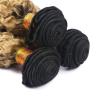 LUMWAV T1B/27 Ombre Deep Wave Human Hair Bundles 12 14 16 Inch 3 Bundles Brazilian Remy Hair Extensions Soft Bouncy Curly Weave for Black Women view 4
