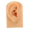 Didiseaon Flexible Soft Silicone Right Ear Model for Piercing Practice and Jewelry Display Realistic Fake Ear for Skill Building and Professional Training view 1