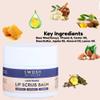 SWOSH Lip Scrub Balm 20g | Exfoliates Dry, Chapped Lips | Moisturizing Lip Care with Natural Oils | Lip Brightening & Softening Balm | Gentle Lip Exfoliator for Women and Men | Lip Treatment view 4