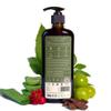 Anti Dandruff Shampoo 10 Herbs in 1 Sulphate & Paraben Free Shampoo for damage control, hair fall, Healthy Scalp, & Dry Frizzy hair |Natural Ingredients for Women & Men (400 ml) view 2