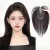 3.1x3.9inch 9.8inch Hand Made Swiss Net Invisible Straight Topper Clip in Hairpiece Human Hair Wiglet for Women Thin Hair (Mocha brown,Middle part) view 3