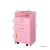 Locking Beauty Salon Storage Cabinet Hair Dryer Holder Stylist Equipment Drawer,Comfy view 2