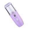 PACKOVE Portable Nano Facial Mist Sprayer Capacity Handheld Skin Moistener with Nanometer Atomization for and Cell Circulation Purple Compact Face Steamer for Makeup view 1