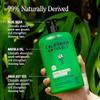 California Naturals Moisture Shampoo and Conditioner for Dry, Damaged Hair, Hair Care Bundle for Women and Men, Natural, Vegan, Cruelty, Silicone, Paraben, and Sulfate Free, Color Safe, 20 fl oz view 3